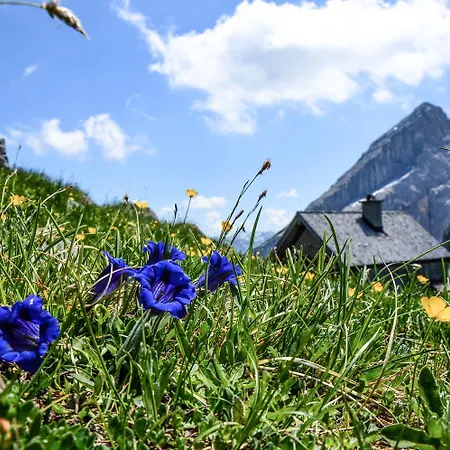 Apartmán Haus Sonnenschein Kehlstein Schönau am Königssee